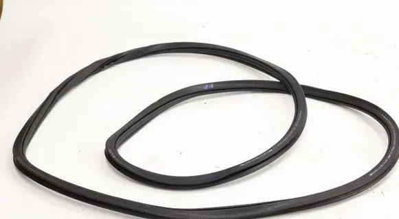 Volkswagen PASSAT B8 Rubber seal front door (on door) 3G0867912K