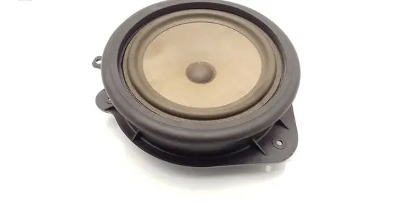 Front door speaker