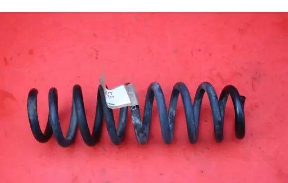 Rear coil spring
