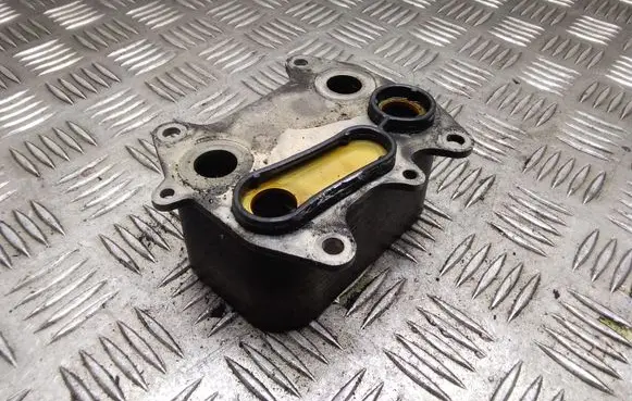 Skoda Yeti (5L) Oil filter mounting bracket 03L117021C