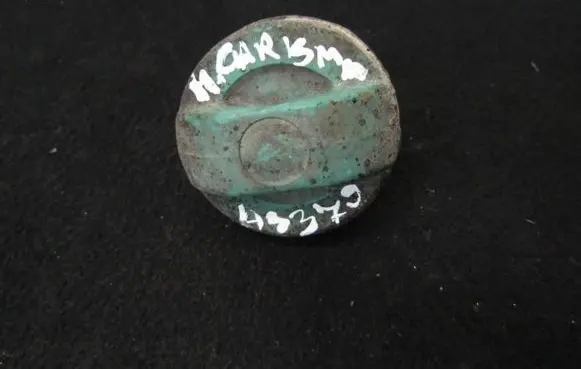 Mitsubishi Carisma Fuel tank filler cap 