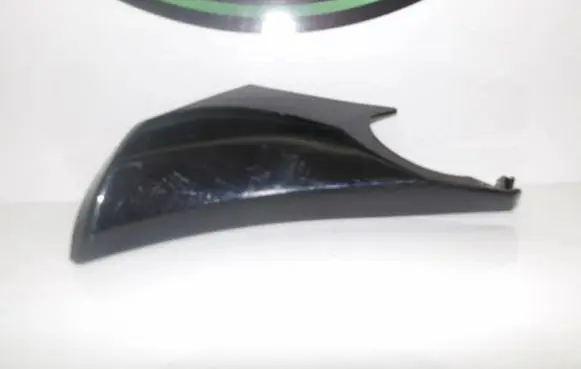 Renault Scenic IV - Grand scenic IV Plastic wing mirror trim cover 15404384923