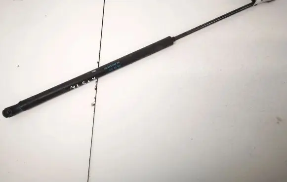 Peugeot 1007 Tailgate/trunk strut/damper 9649587680