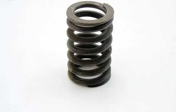 Chevrolet Epica Valve spring 