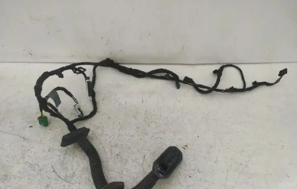 BMW 7 E65 E66 Front door wiring loom