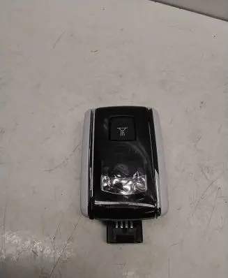 Peugeot 508 Rear seat light 8956410