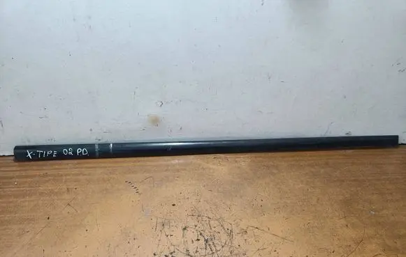 Jaguar X-Type Front door trim (molding) 1X435420780