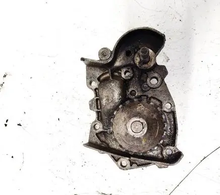 Renault Clio II Water pump 599113