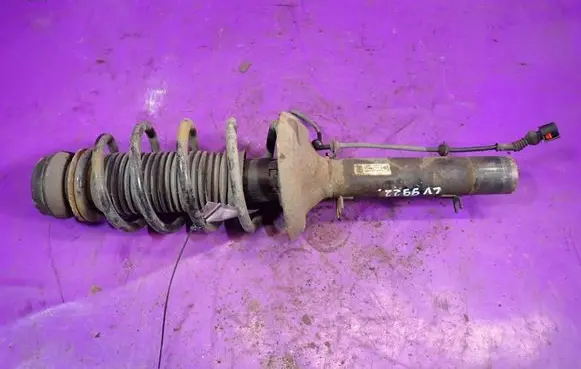 Seat Leon (1M) Front shock absorber with coil spring 