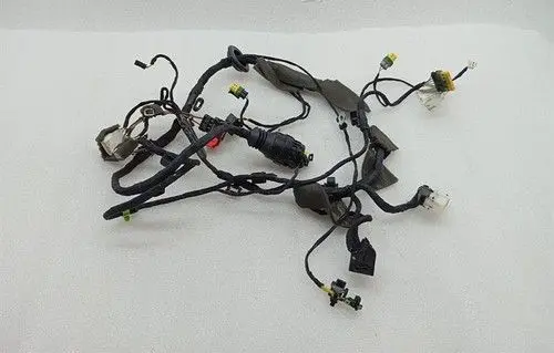 Ferrari 458 Front door wiring loom/harness boot