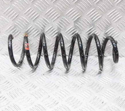 Nissan Qashqai Rear coil spring