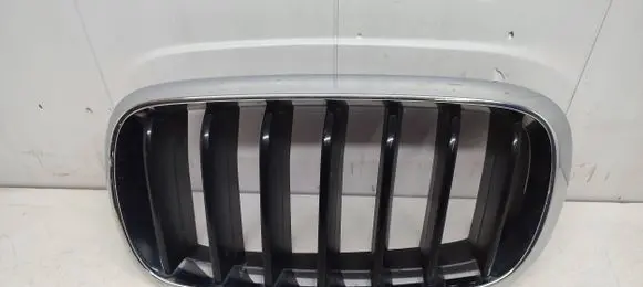 BMW X6 F16 Front bumper upper radiator grill 7316075 7316053 7316057