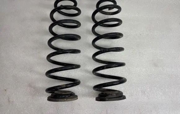 Rear coil spring