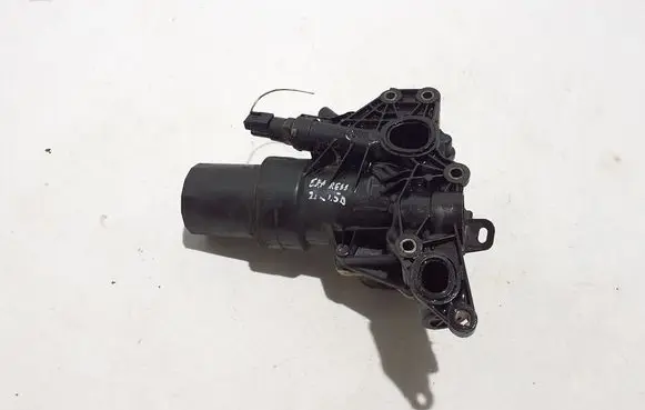 Renault Express Oil filter mounting bracket 213050344R