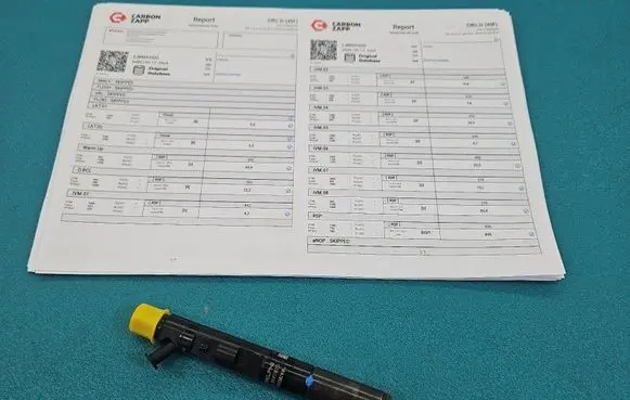 Renault Clio III Fuel injector EJBR05102D IMPRK1584260