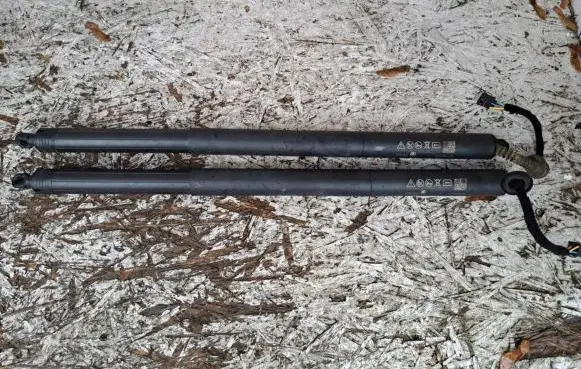 Tailgate/trunk strut/damper