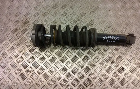 BMW X3 F25 Rear shock absorber with coil spring 6796317