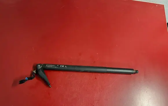 Tailgate/trunk strut/damper
