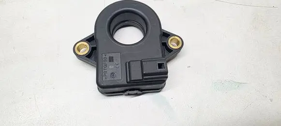 Renault Arkana Other control units/modules 294C12911R