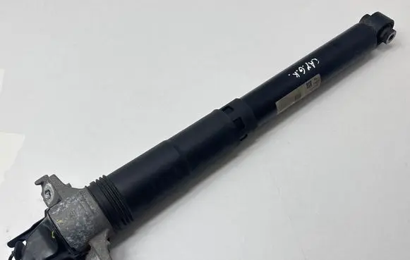Porsche Cayenne (9Y0 9Y3) Rear shock absorber/damper 482400013829 9Y0513031B HE3S040K