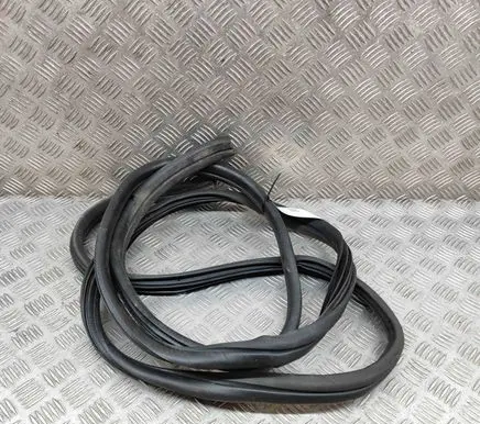 Fiat Talento Rubber seal front door (on door) 6000620560