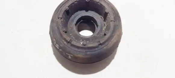 Coil spring mount
