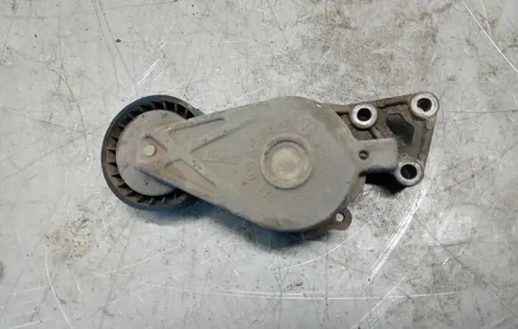 Volkswagen Multivan T5 Generator/alternator belt tensioner 038903315