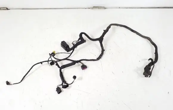 Volkswagen Phaeton Other wiring loom
