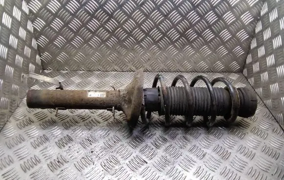 Skoda Octavia Mk2 (1Z) Front shock absorber with coil spring 1J0413031N