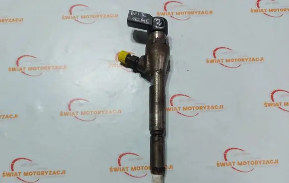 Nissan Qashqai Fuel injector H8200294788