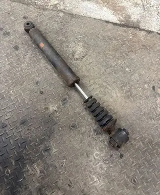 Renault Laguna III Rear shock absorber/damper 562100001R