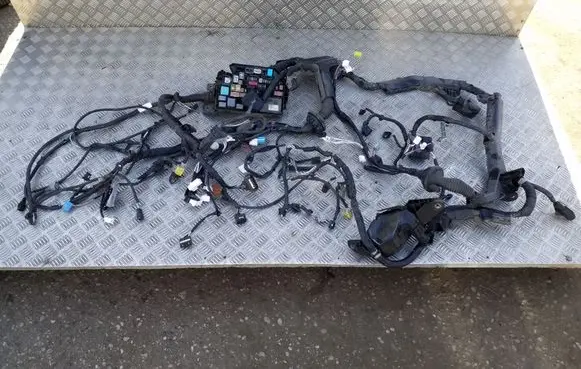 Toyota Corolla E210 E21 Other wiring loom 8264147050A AB111F2L30
