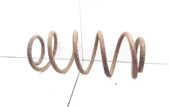 Front coil spring