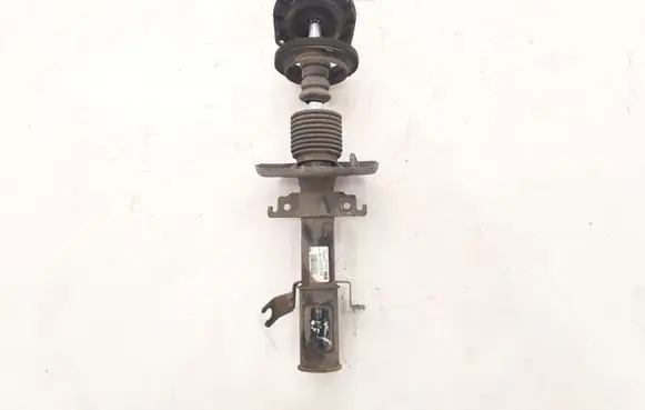 Renault Scenic III - Grand scenic III Front shock absorber/damper 543020017R