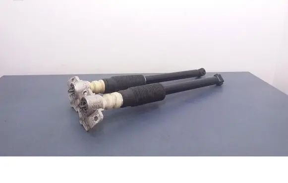 Fiat Punto (199) Rear shock absorber/damper 562366