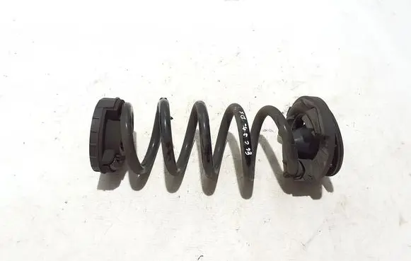 Rear coil spring