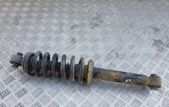 Opel Grandland X Rear shock absorber with coil spring WJ4132915
