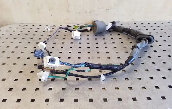 Front door wiring loom