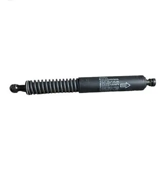 Tailgate/trunk strut/damper