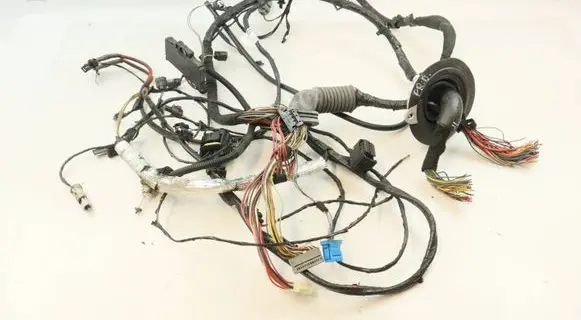 BMW 3 E92 E93 Other wiring loom 9177154