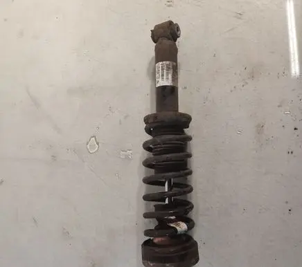 BMW X3 F25 Rear shock absorber with coil spring 6796317