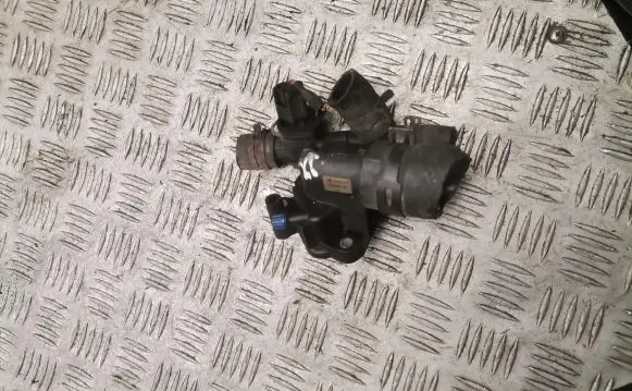 Thermostat/thermostat housing