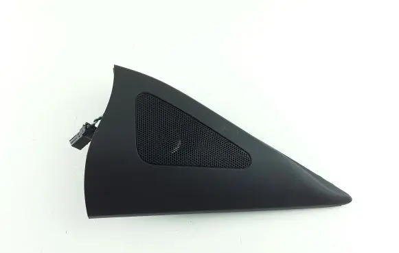 Front door high frequency speaker