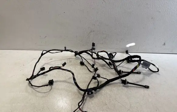 BMW X6 F16 Other wiring loom 563931010