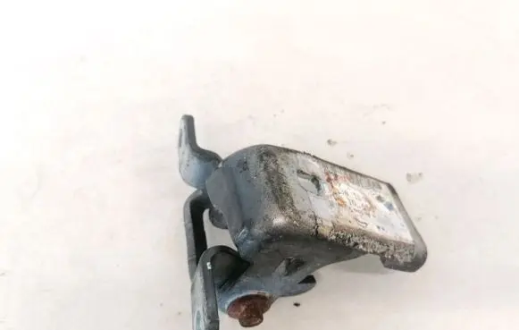 Rear door lower hinge