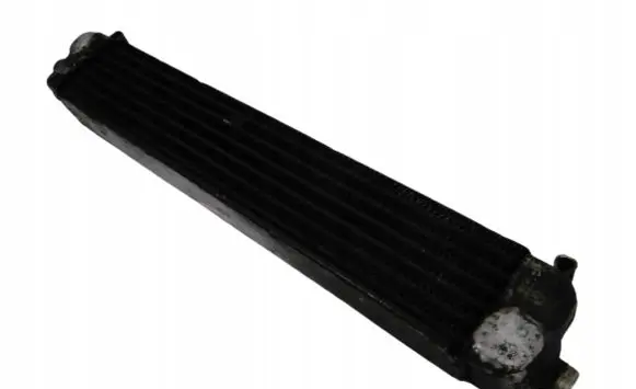 Mercedes-Benz G W460 Transmission/gearbox oil cooler A1231800265