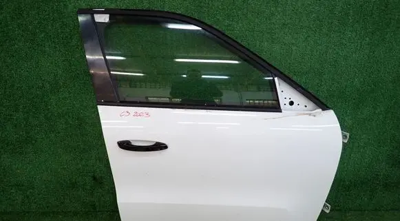 Citroen C3 Front door 