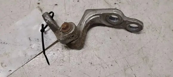 Ford Focus Rear door lower hinge