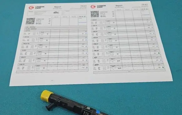 Renault Clio III Fuel injector EJBR05102D IMPRK1528466