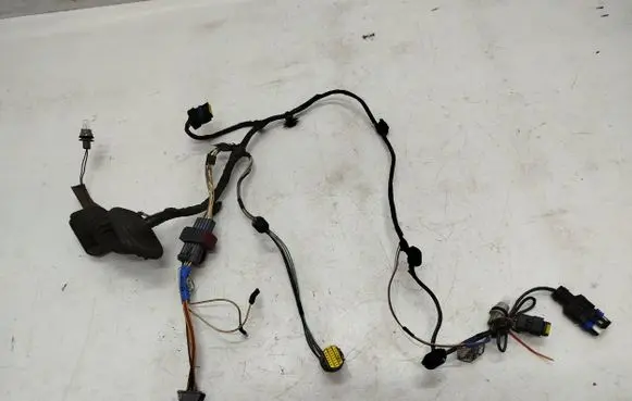 Renault Laguna II Front door wiring loom 8200309005